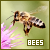 bees
