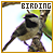 birding