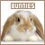 bunnies and rabbits