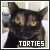 tortoiseshell cats