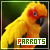 parrots