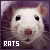 rats